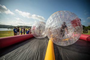 hamster-ball-w-track-01-2x